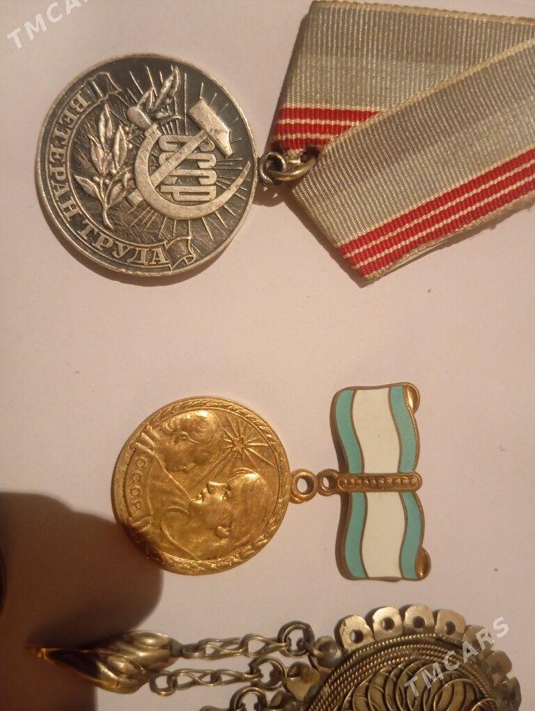 kümüş - Kaka - img 3