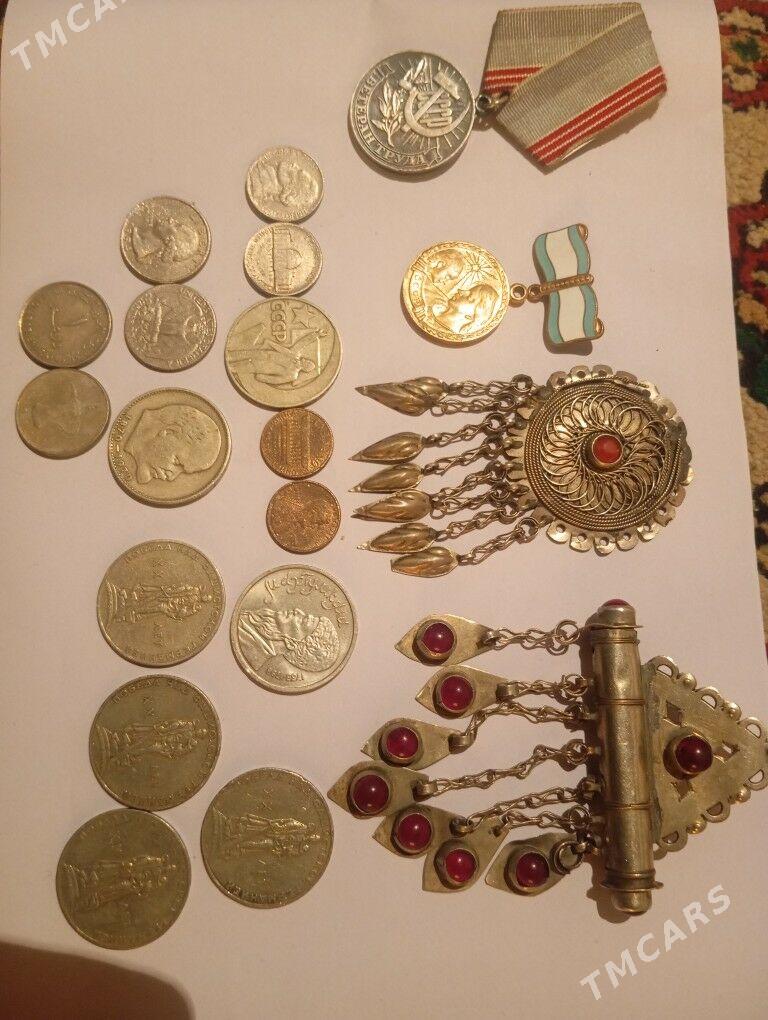 kümüş - Kaka - img 2