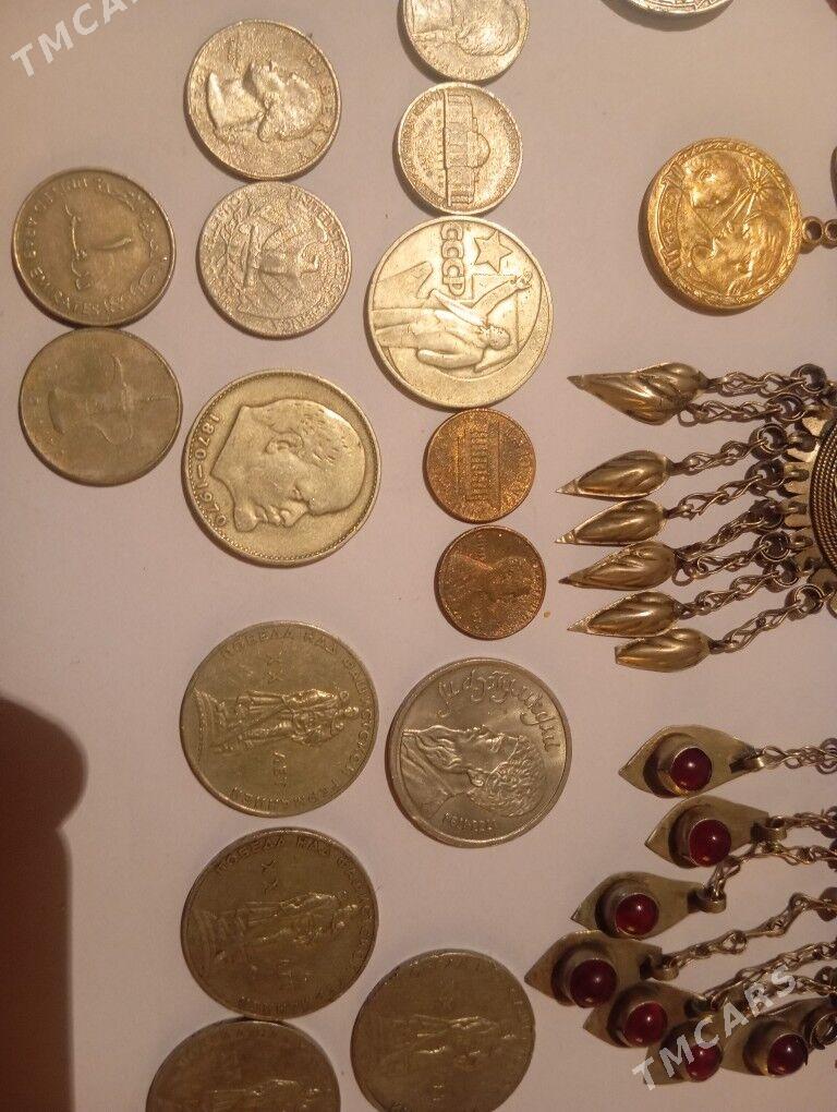 kümüş - Kaka - img 5