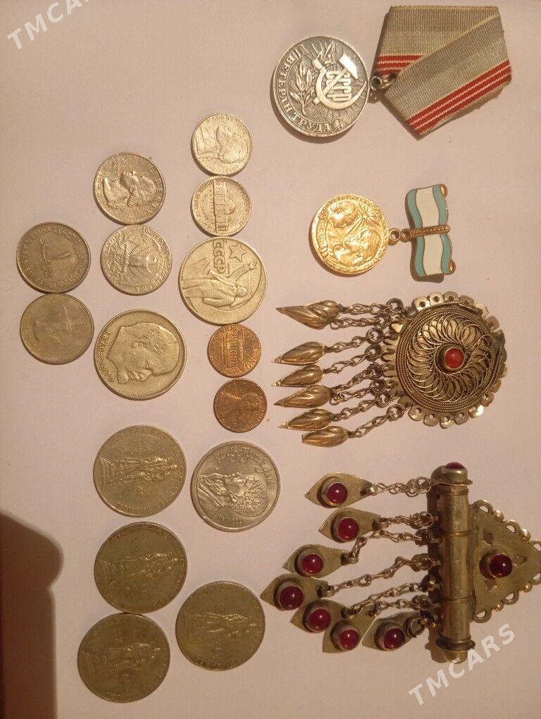 kümüş - Kaka - img 1