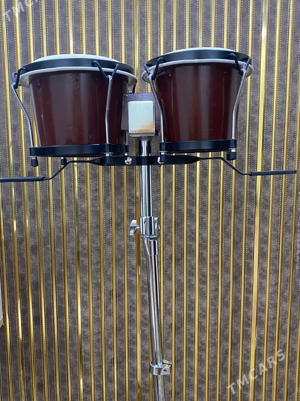 kici bongo - Ашхабад - img 2