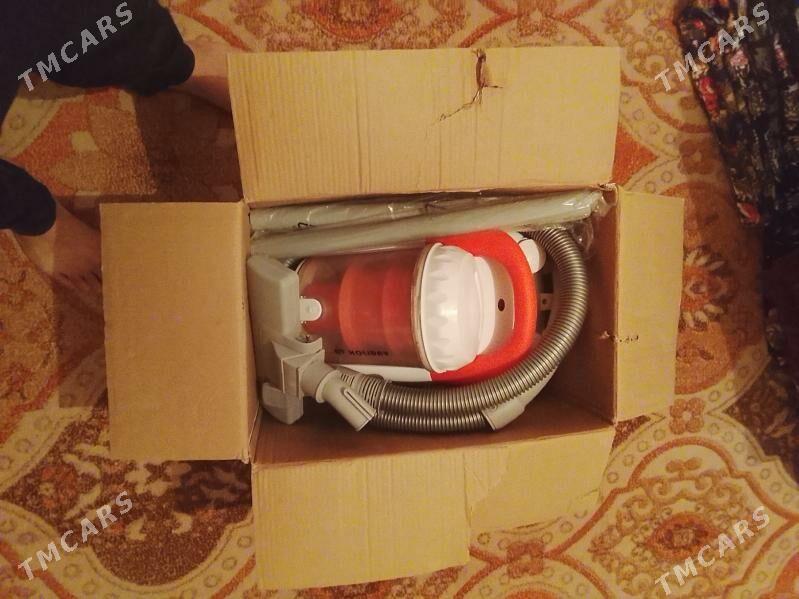 pylsuz musur artyan - Köneürgenç - img 2