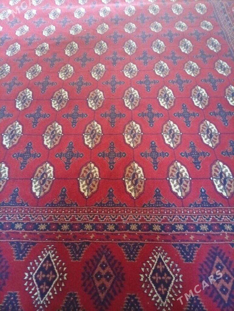 Haly - Гарадамак - img 2