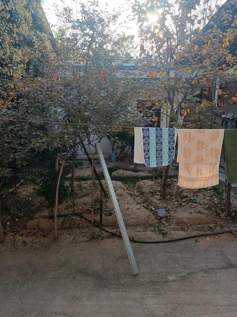 Plan jaý 4 sotok - Kim raýon - img 7