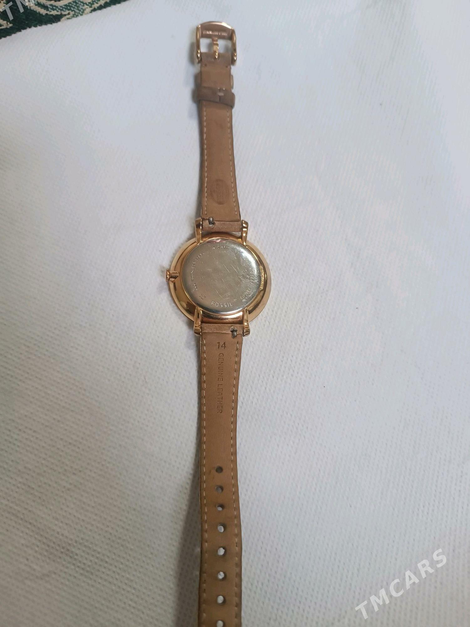 sagat FOSSIL - Ак-Бугдайский этрап - img 2