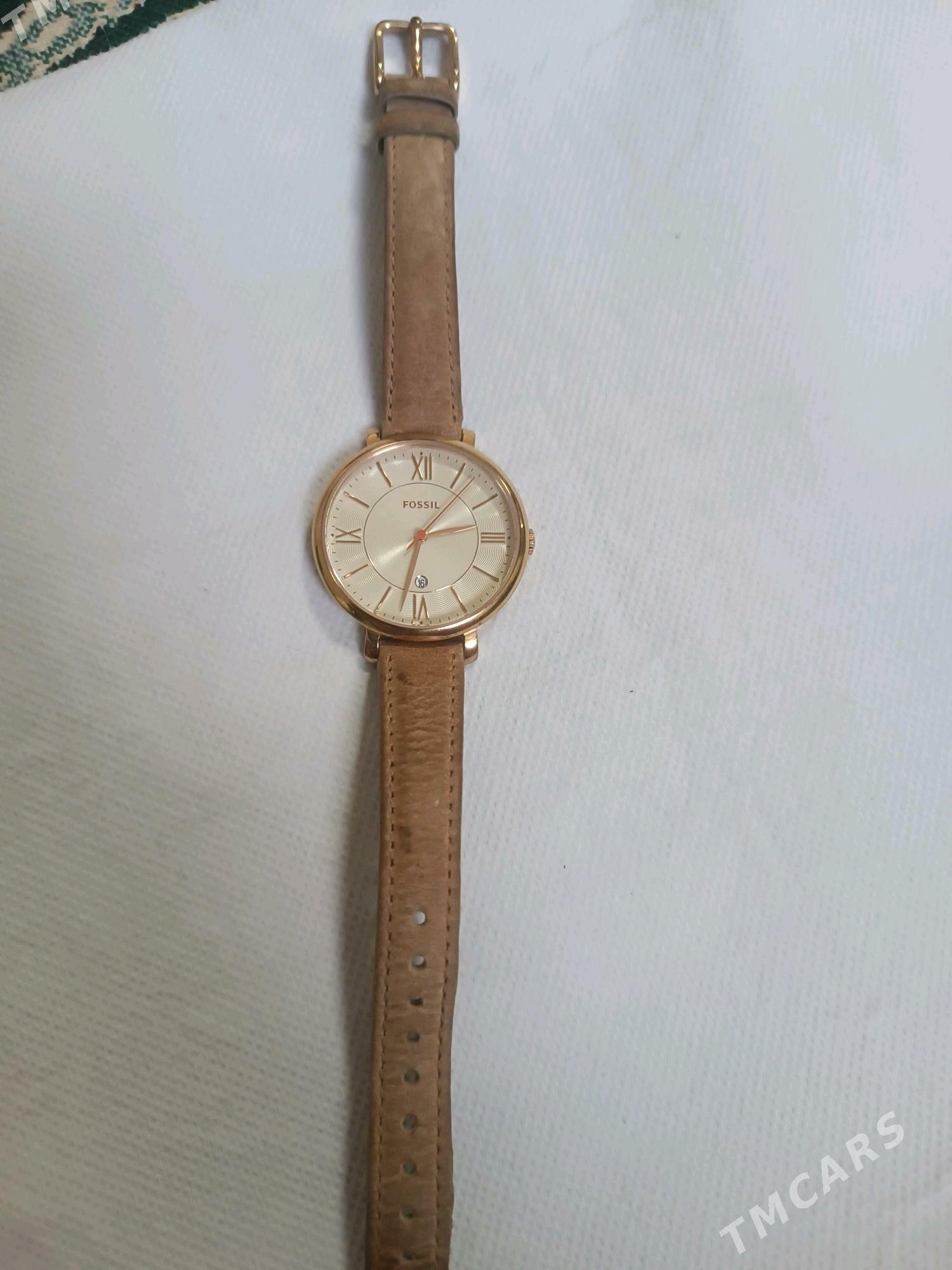 sagat FOSSIL - Ак-Бугдайский этрап - img 4