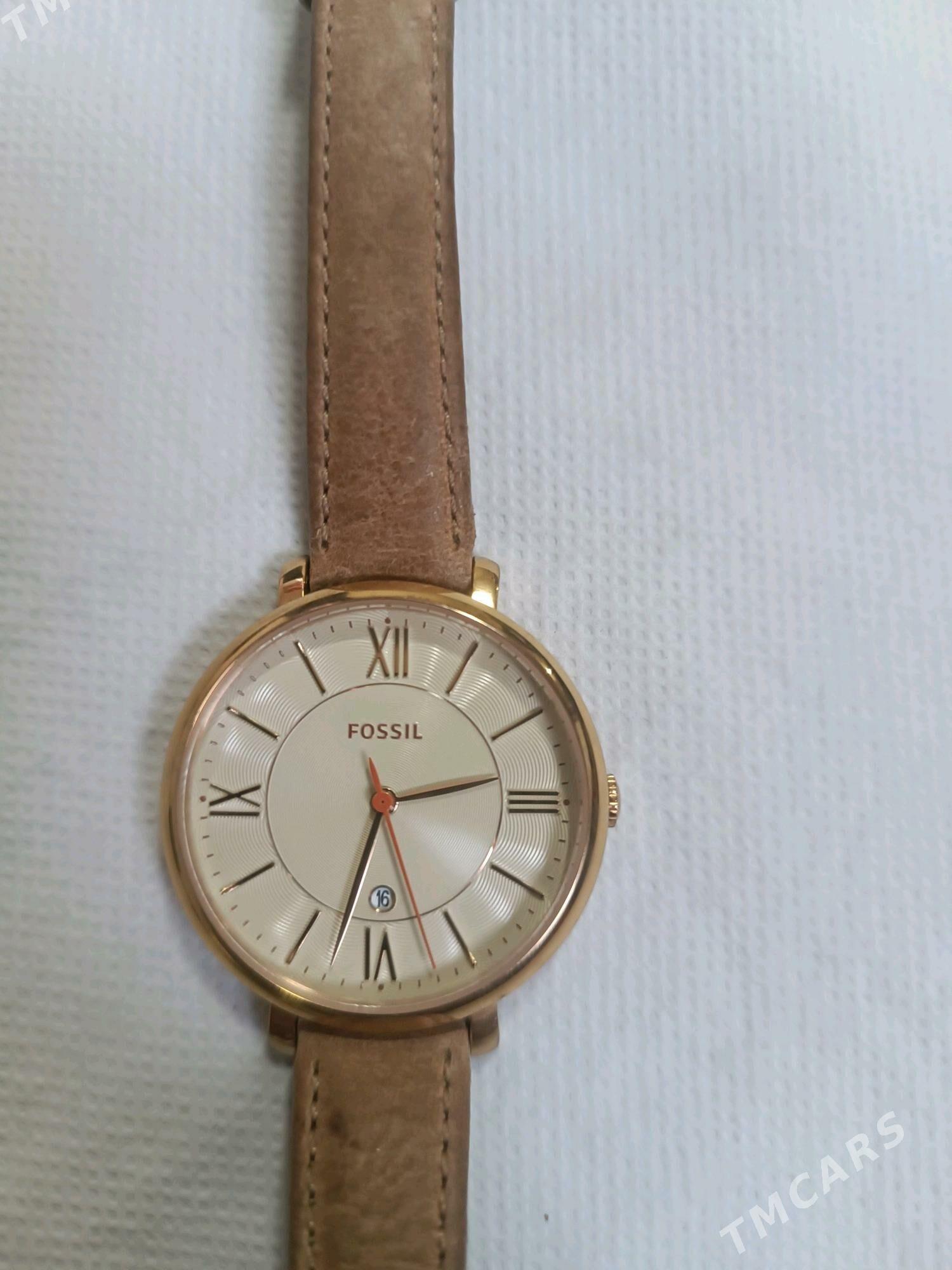 sagat FOSSIL - Ак-Бугдайский этрап - img 1