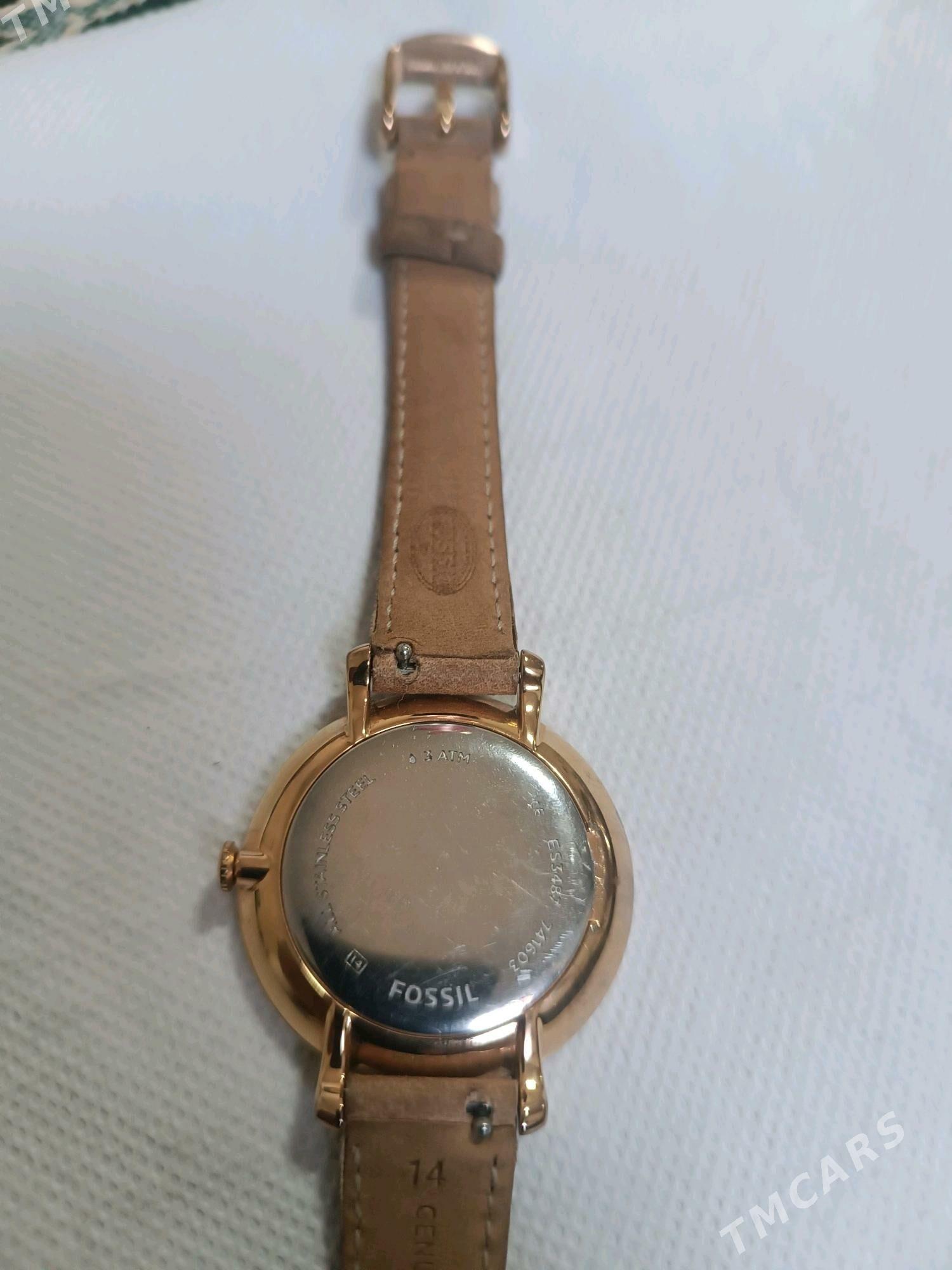 sagat FOSSIL - Ак-Бугдайский этрап - img 3