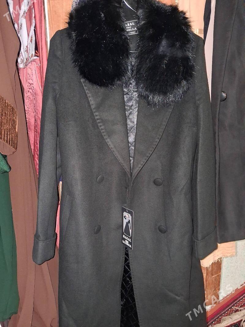 palto - Daşoguz - img 2