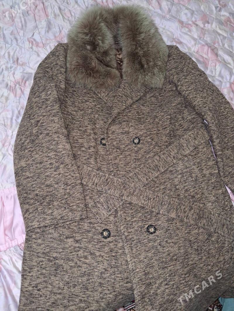 palto - Daşoguz - img 2