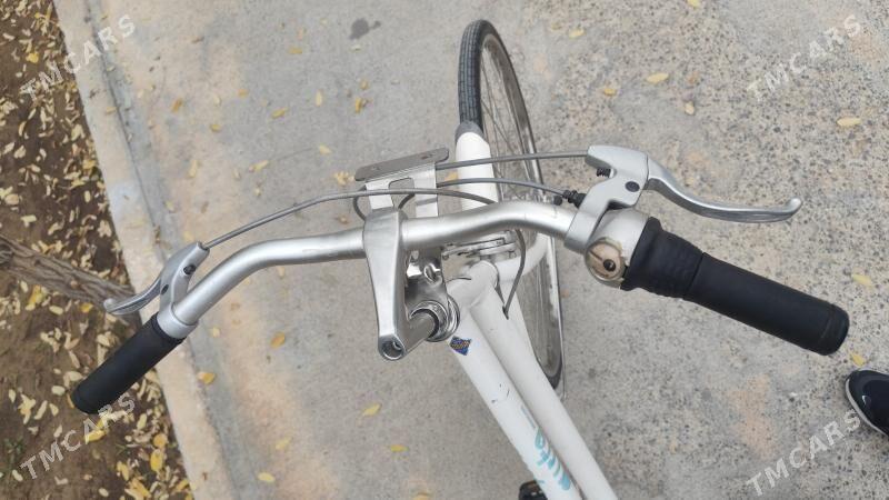 tigir Ýapoşga welik - "Altyn Asyr" Gündogar bazary (Jygyllyk) - img 5