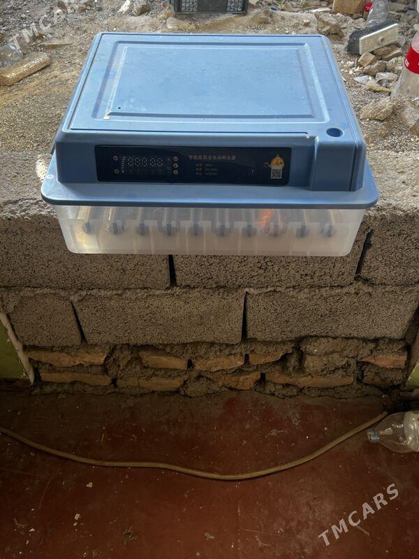 INKUBATOR - Ашхабад - img 3