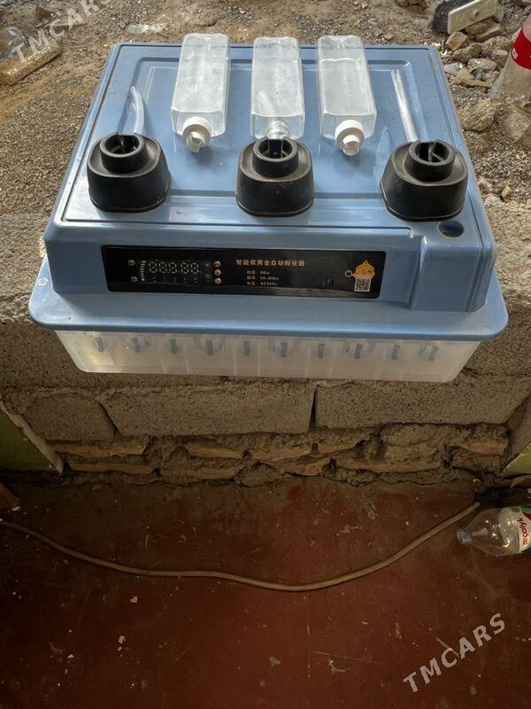 INKUBATOR - Ашхабад - img 1