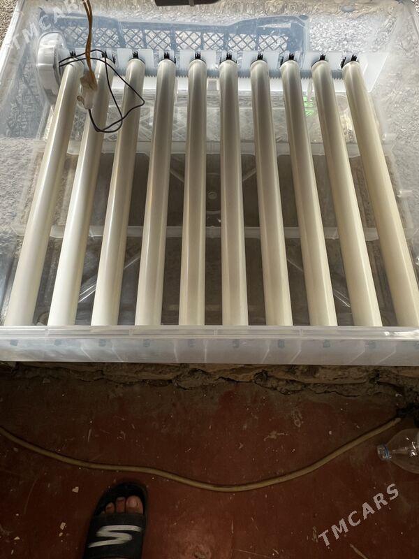 INKUBATOR - Ашхабад - img 2