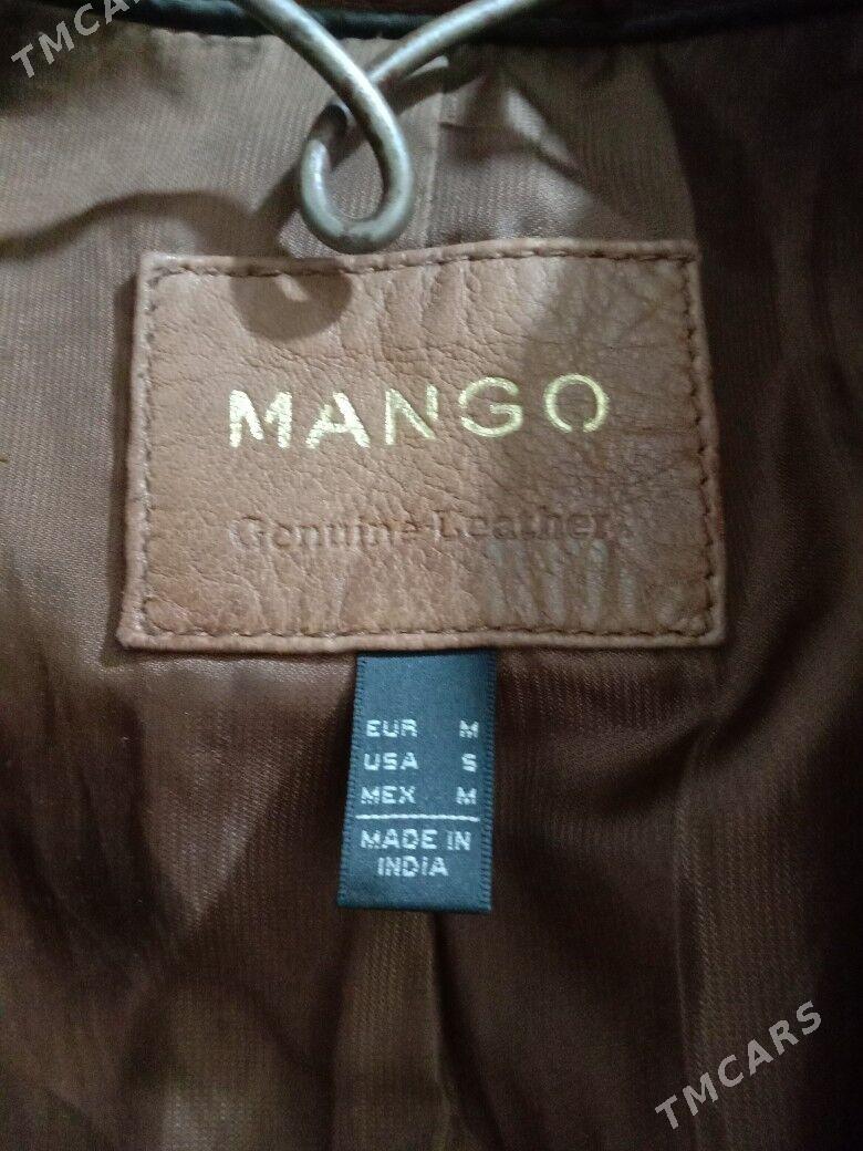 Коженка - Туркменабат - img 3