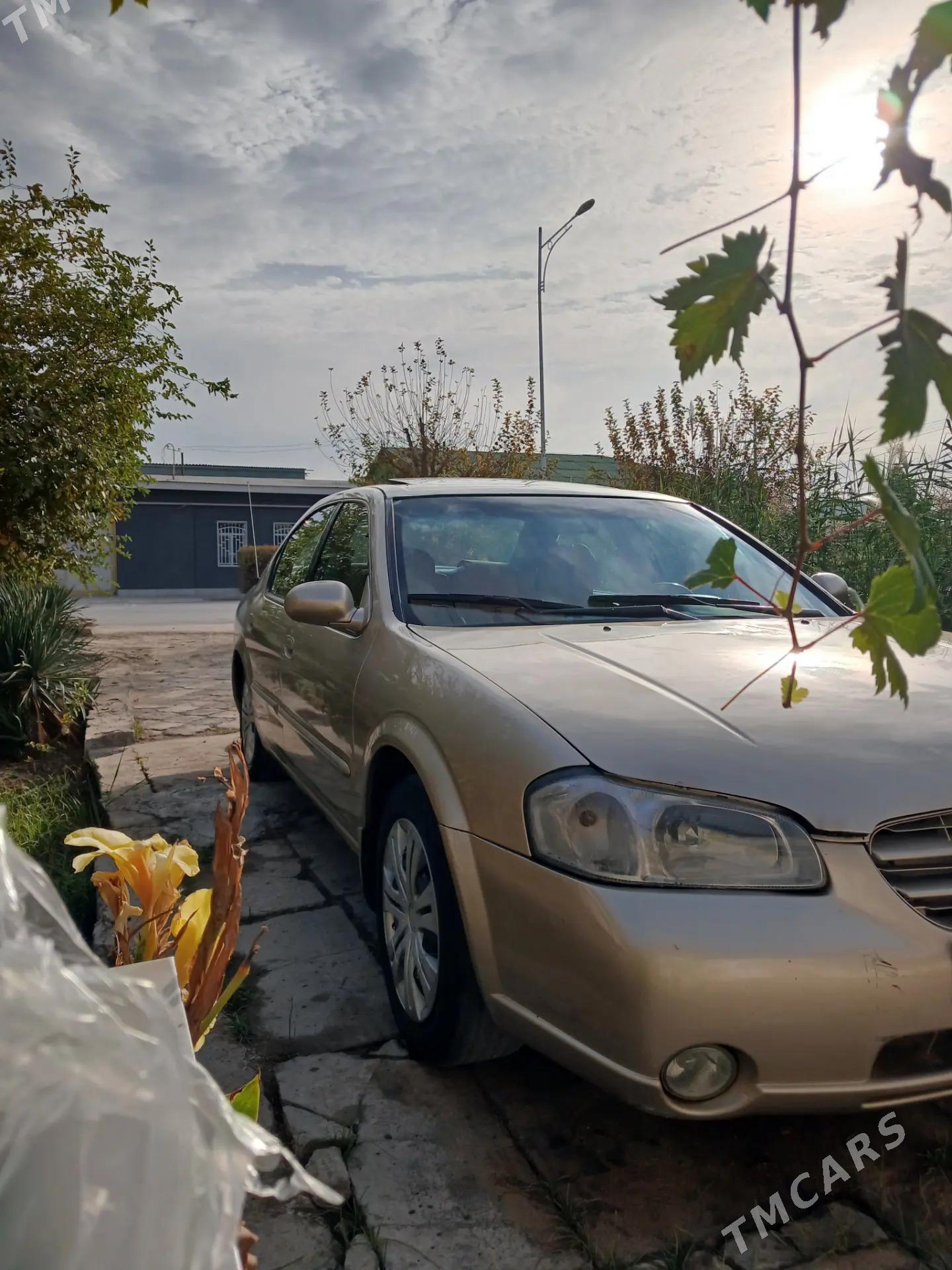 Nissan Maxima 2000 - 70 000 TMT - Туркменабат - img 2