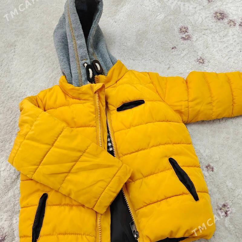 Kurtga oglanjyk - Ашхабад - img 1