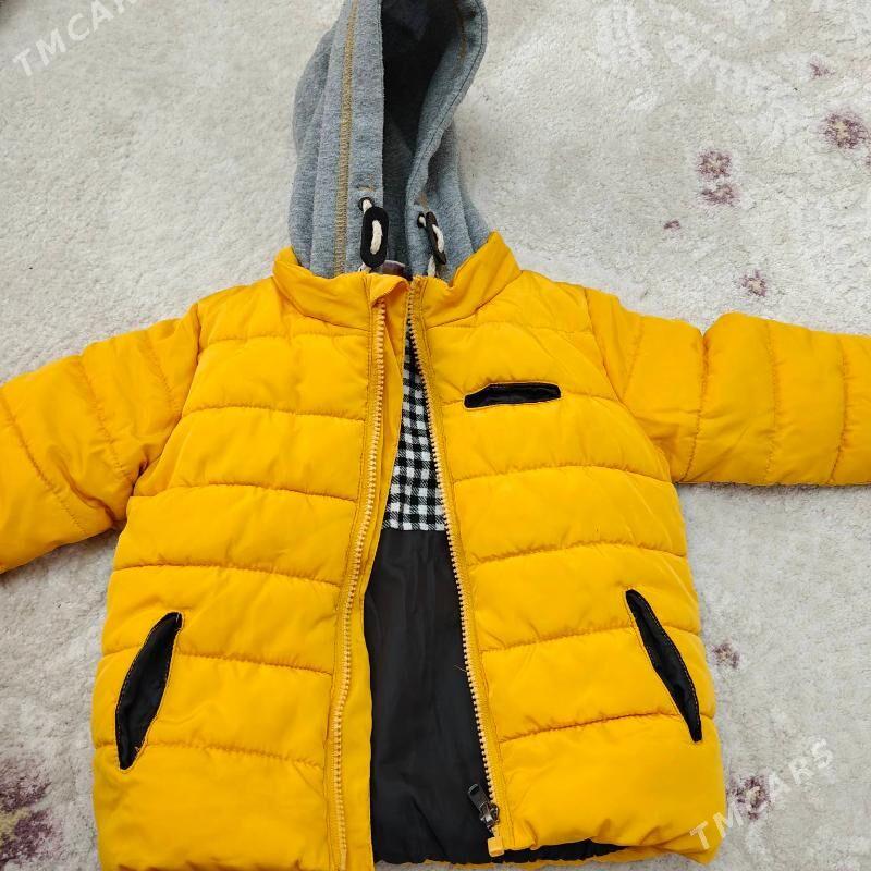 Kurtga oglanjyk - Ашхабад - img 2