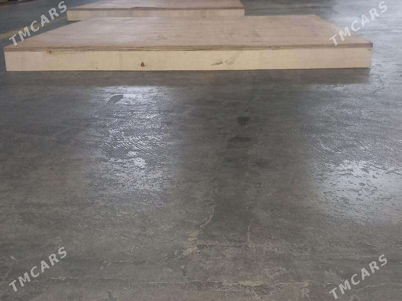 Plasmas we Agaç Paddonlar - Büzmeýin - img 3