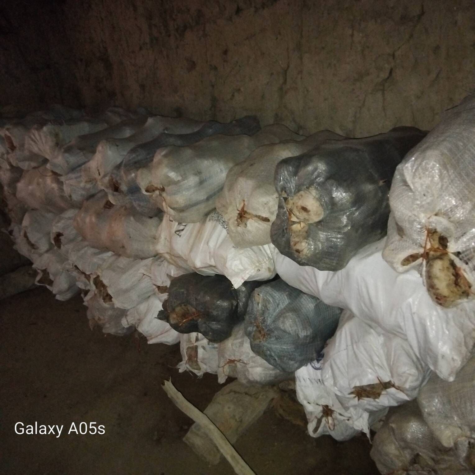 mal im - Губадаг - img 2