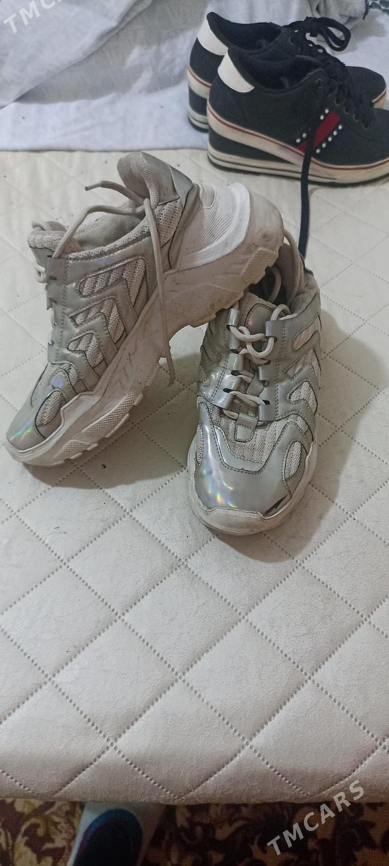 красавка - Daşoguz - img 2