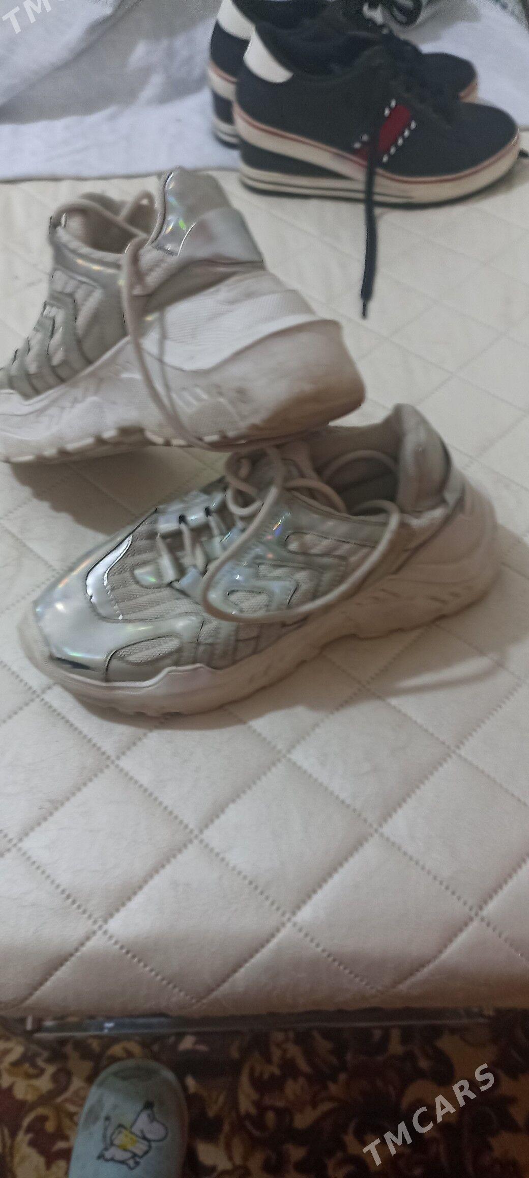 красавка - Daşoguz - img 1