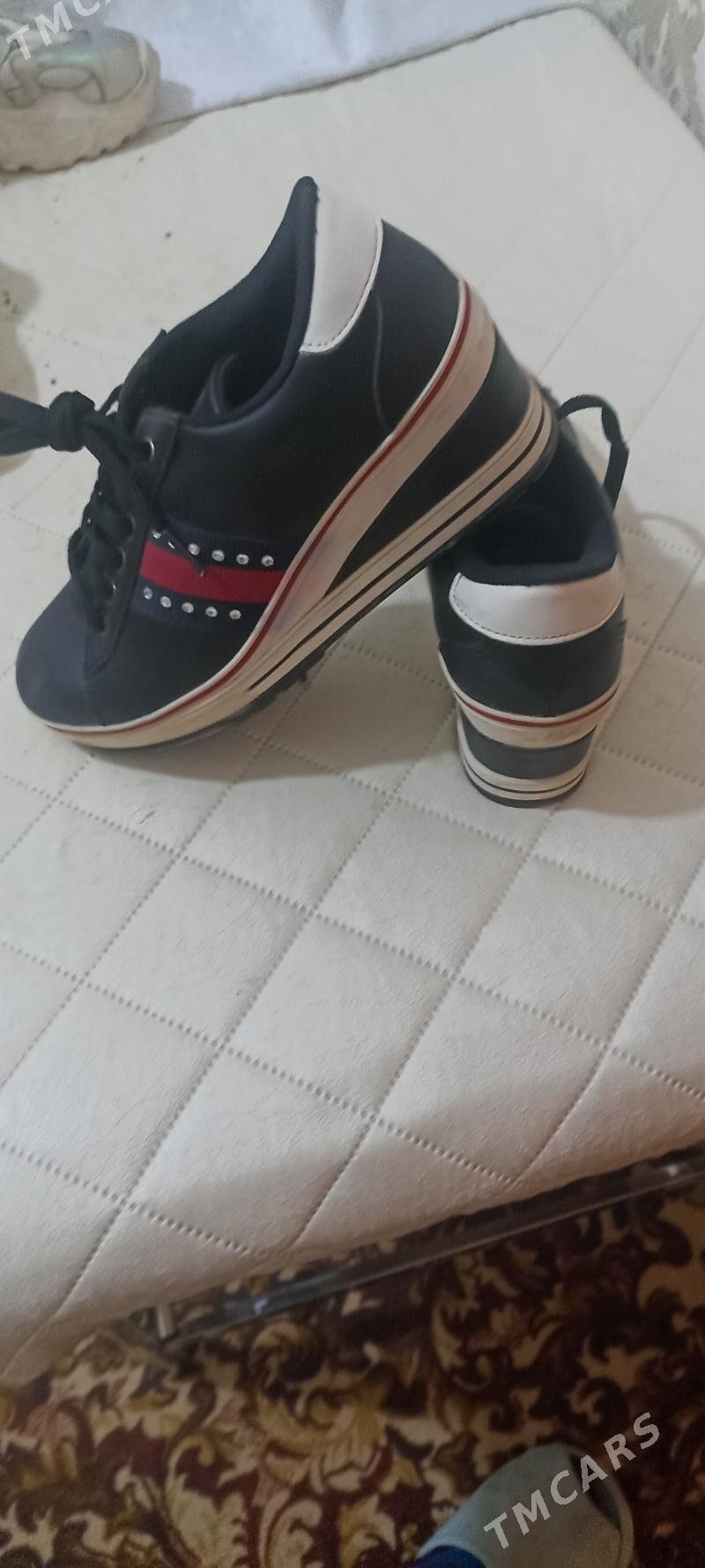 красавка - Daşoguz - img 4