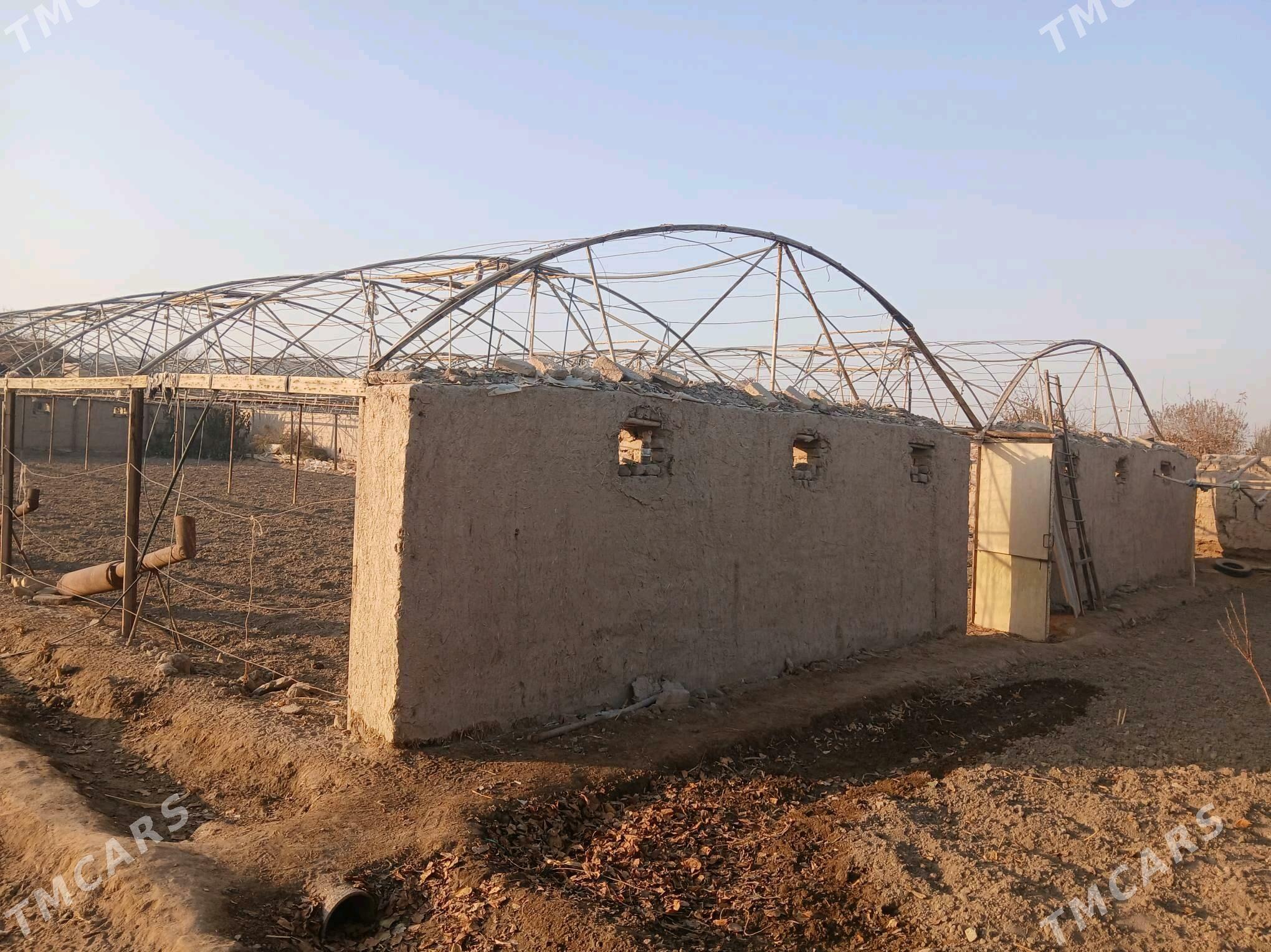 теплица - Шабатский этрап - img 4