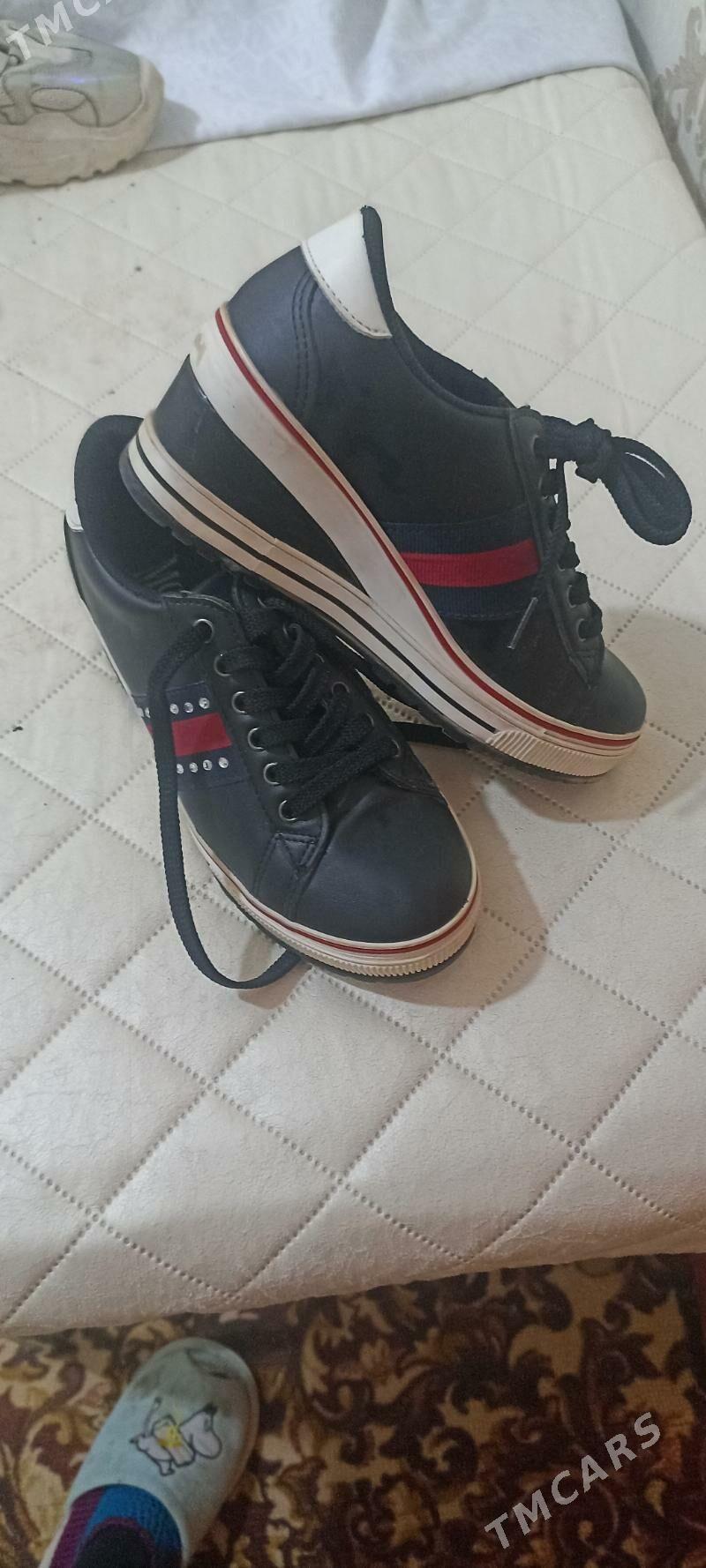 красавка - Daşoguz - img 3