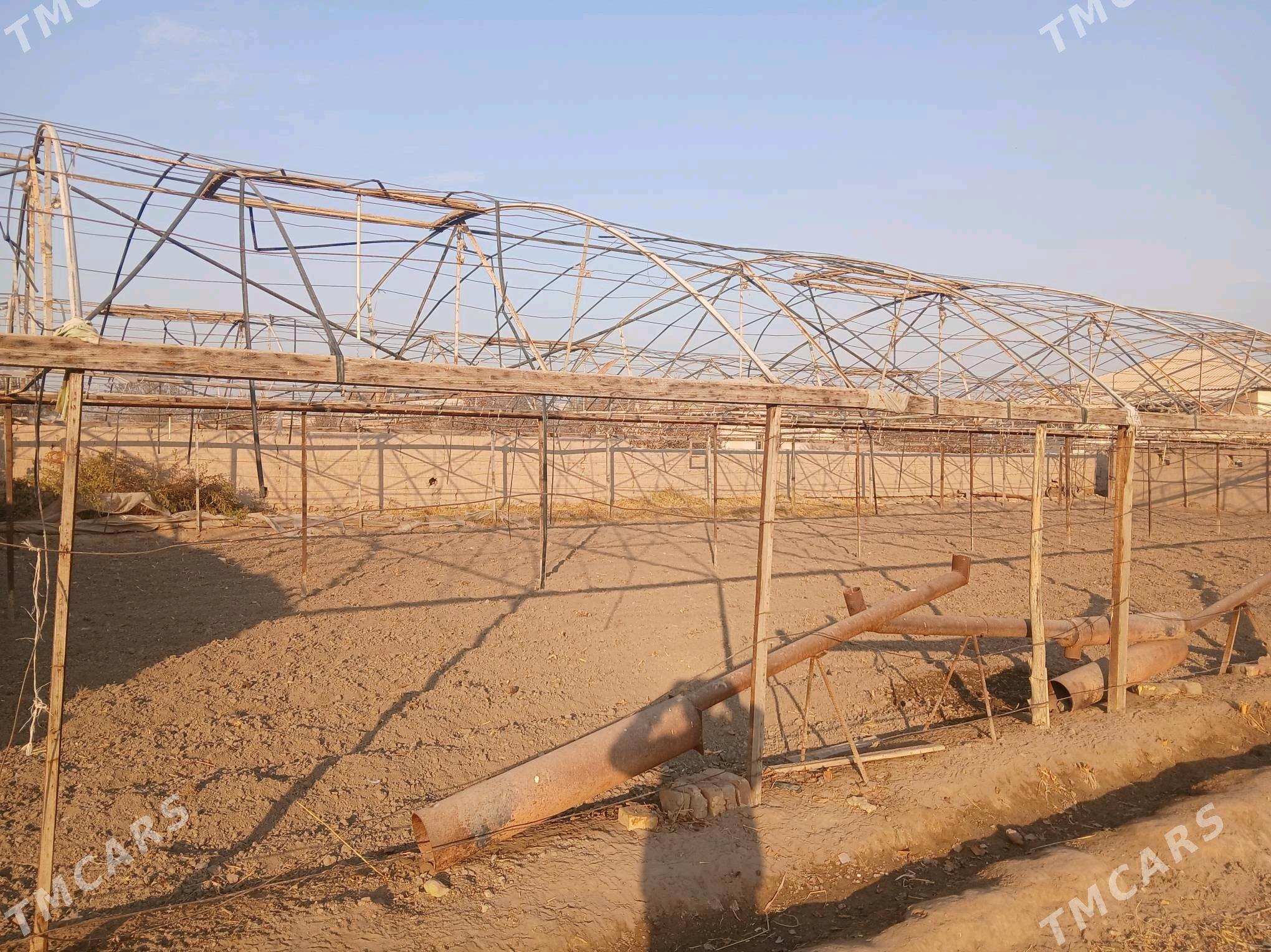 теплица - Шабатский этрап - img 3