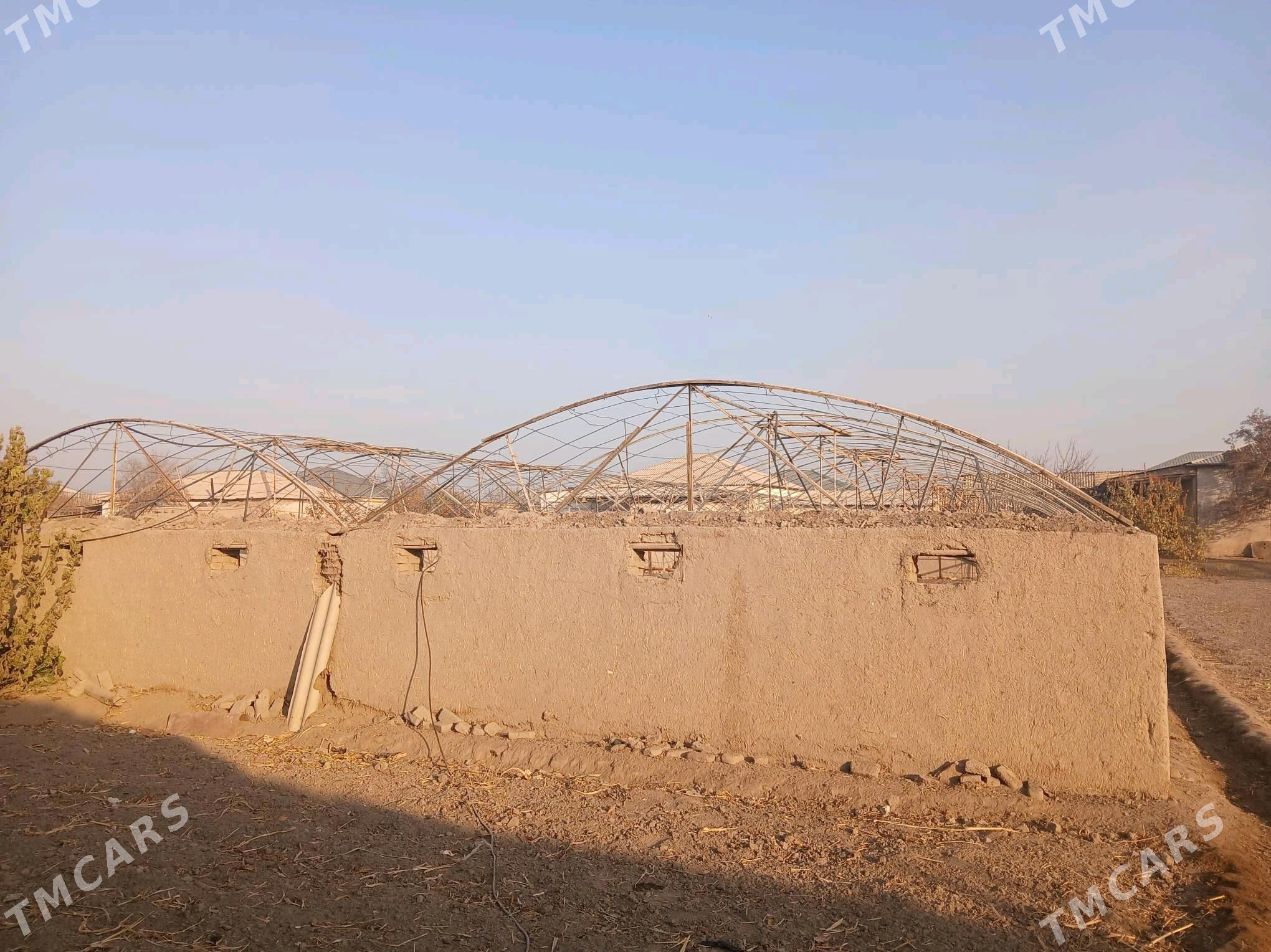 теплица - Шабатский этрап - img 2