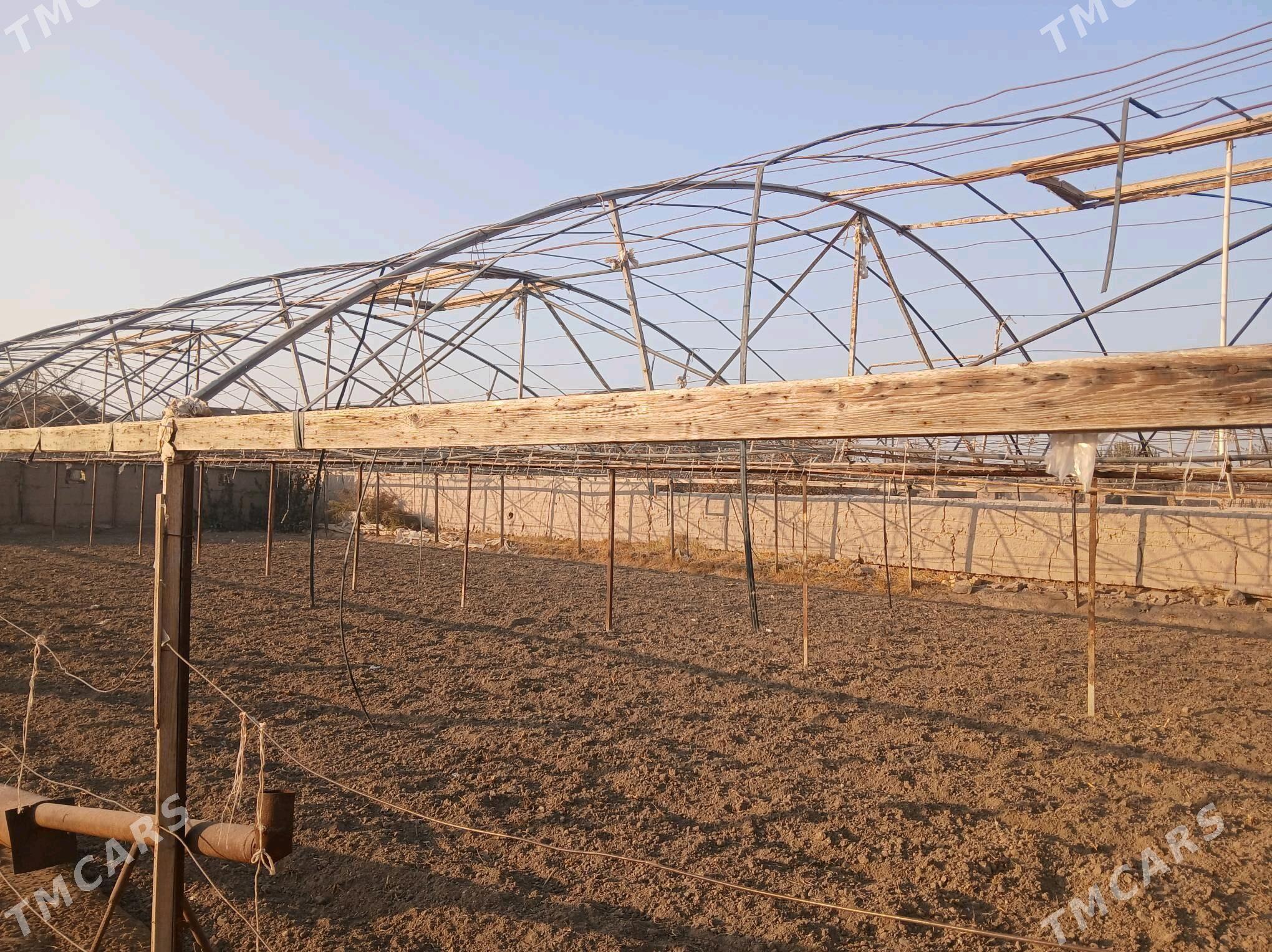 теплица - Шабатский этрап - img 5