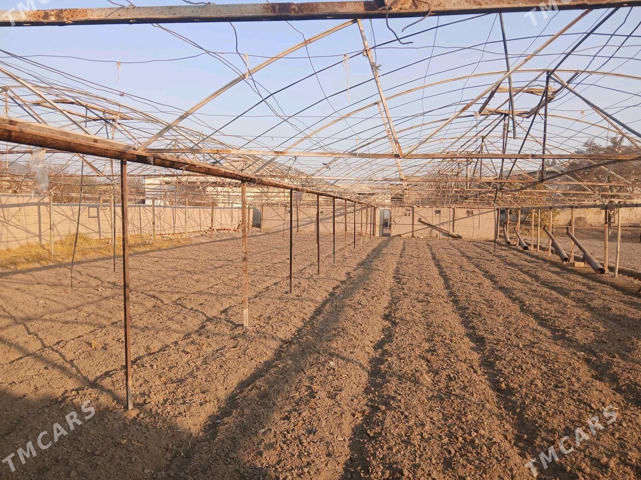 теплица - Шабатский этрап - img 1