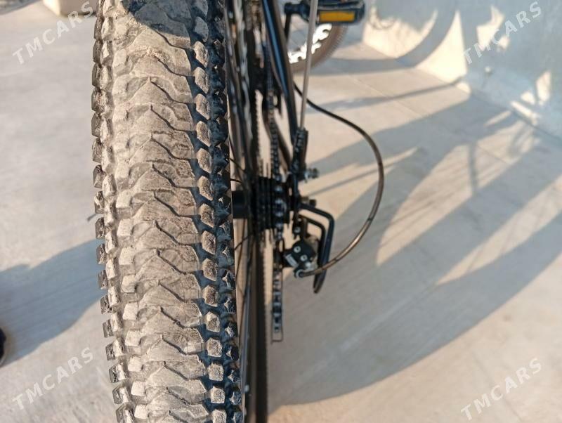 welik - Балканабат - img 4