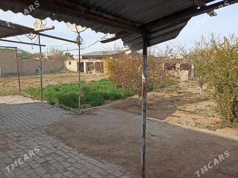 ayraport daça - Чарджоу - img 5