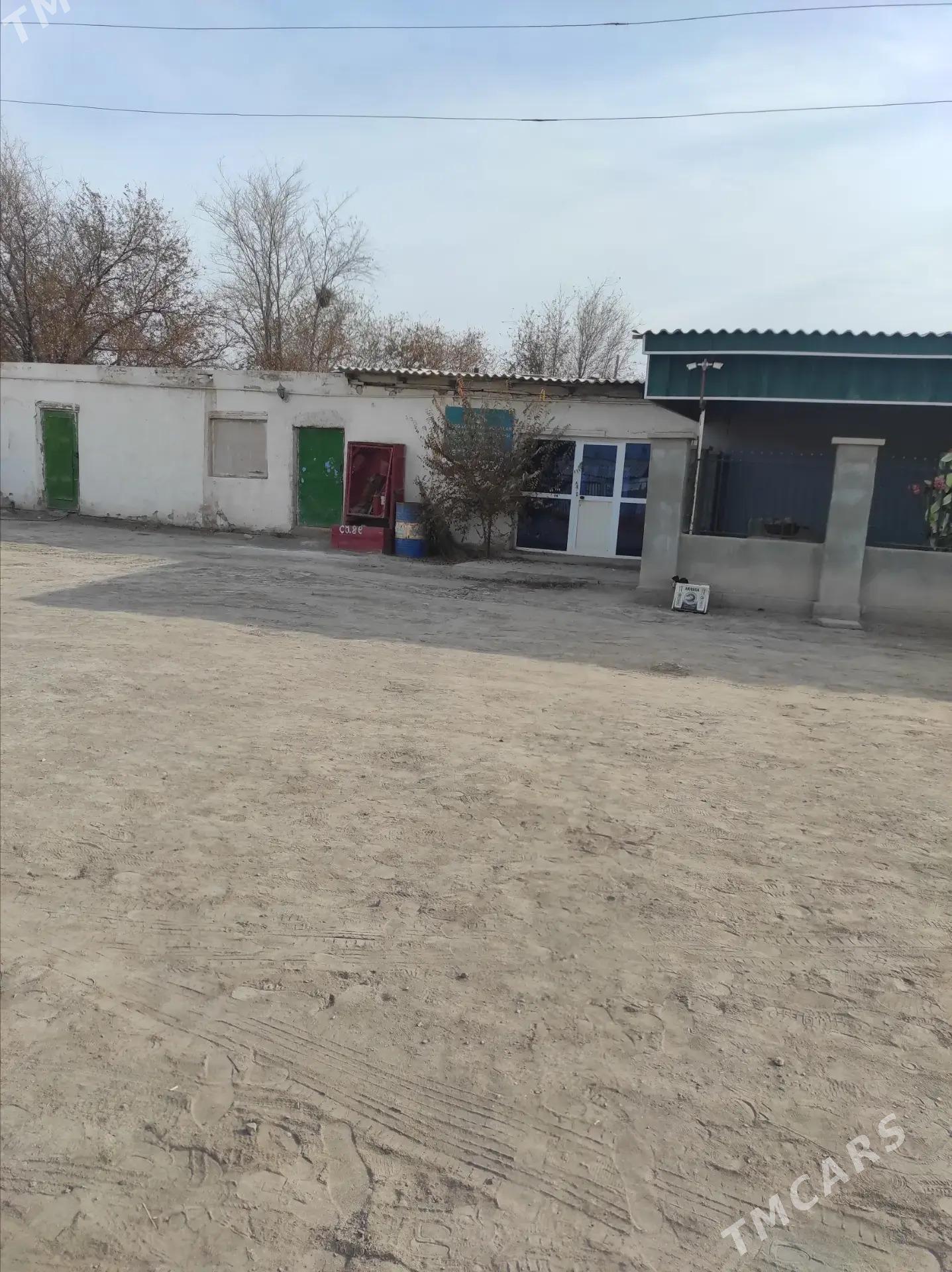 Pekarnyý. Пекарня - Кёнеургенч - img 5