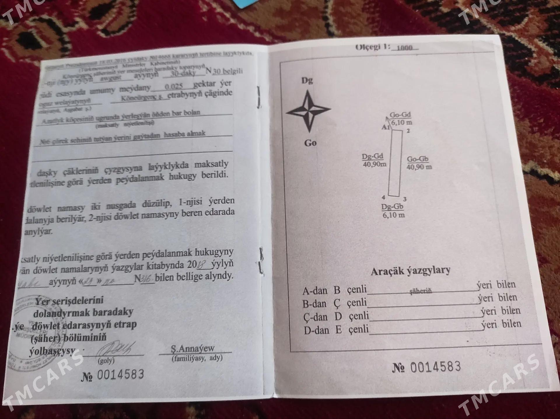 Pekarnyý. Пекарня - Кёнеургенч - img 3