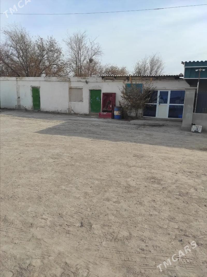 Pekarnyý. Пекарня - Кёнеургенч - img 2