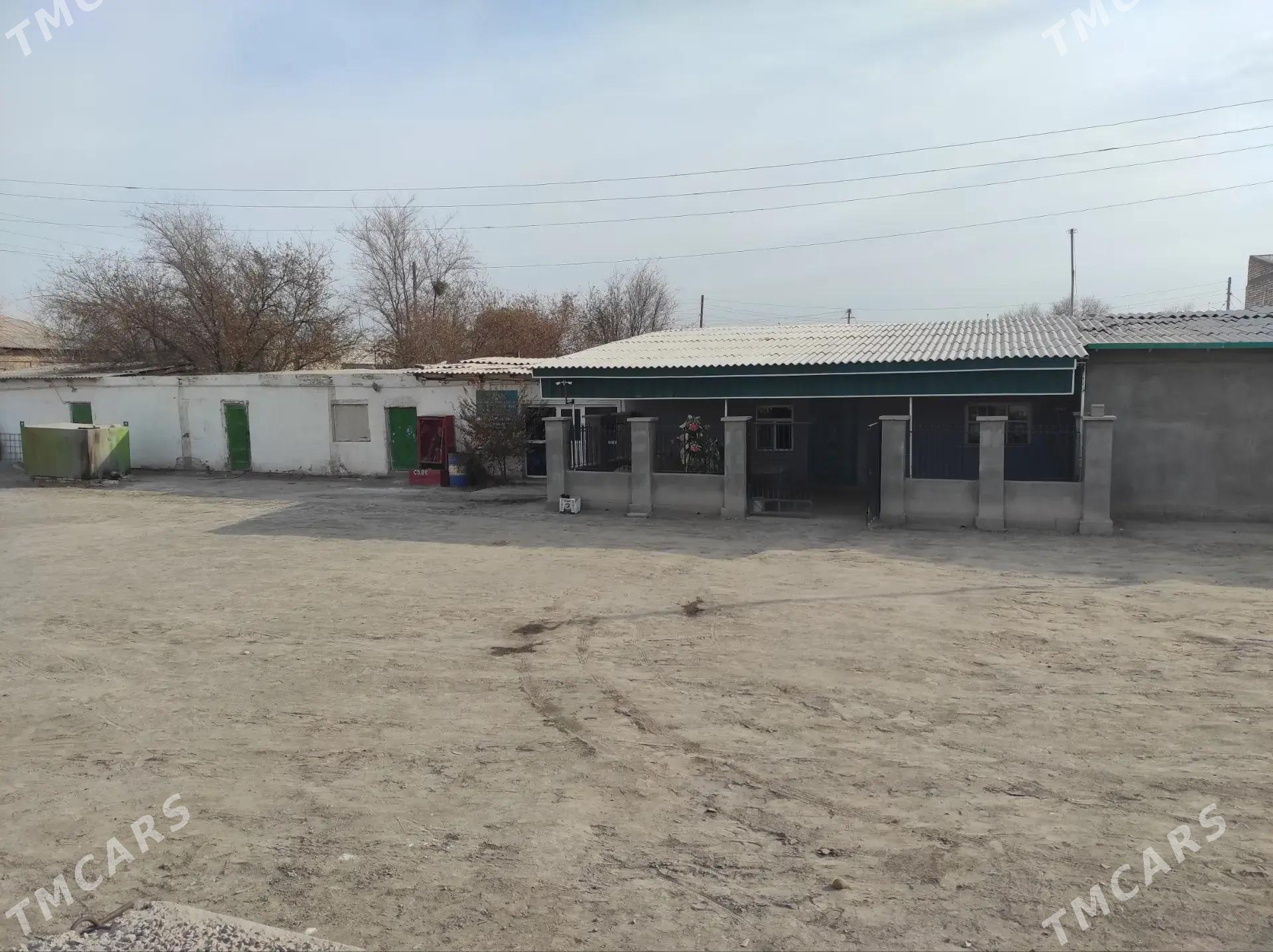 Pekarnyý. Пекарня - Кёнеургенч - img 7