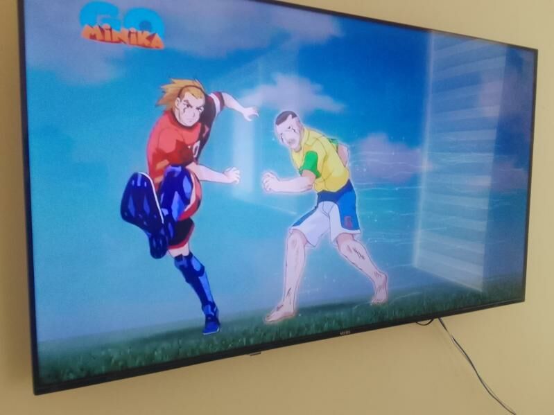 vestel 65-lik - Аркадаг - img 1