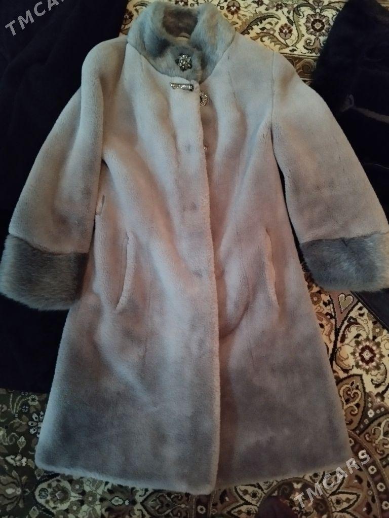 Şuba - Балканабат - img 1