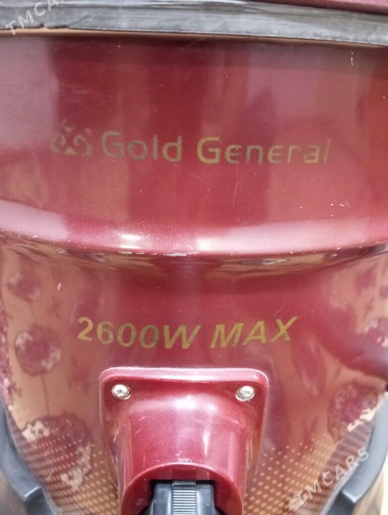 Plesos garasaryna - Balkanabat - img 2