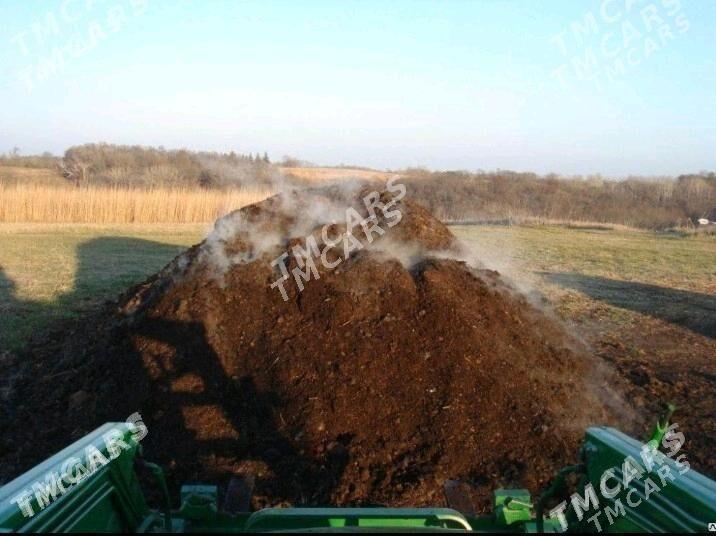 miti ders pakdas keremsit cage - Бедев - img 5