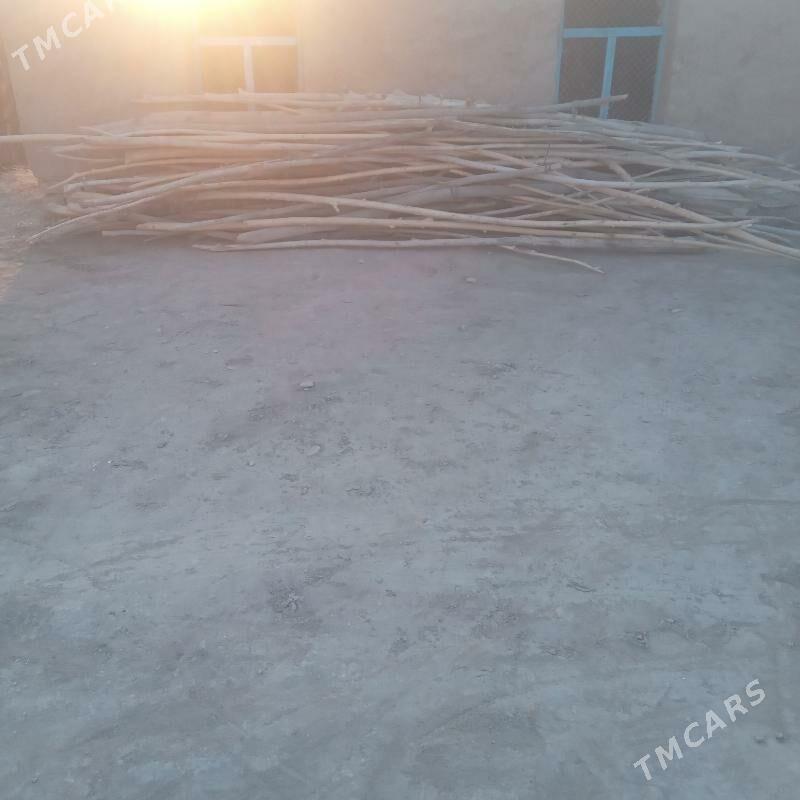 hada - Гороглы (Тагта) - img 2