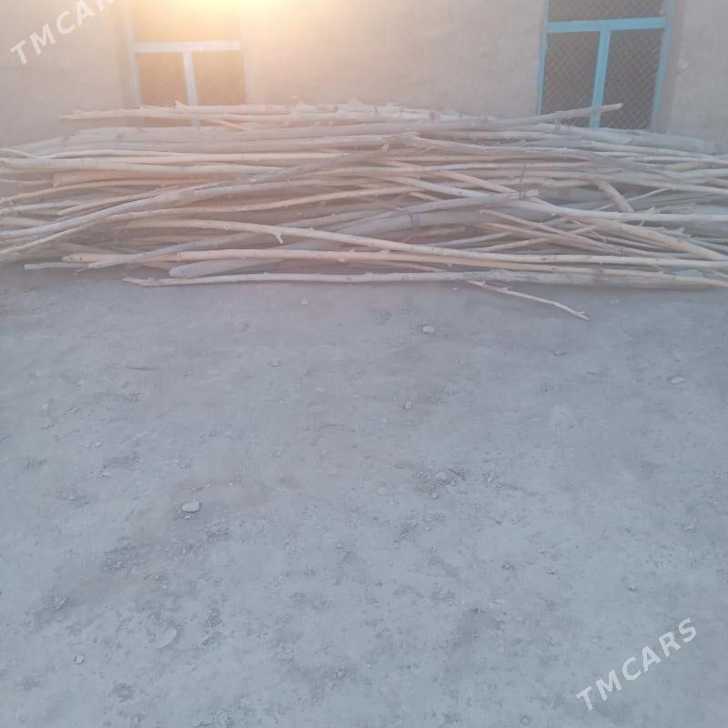 hada - Гороглы (Тагта) - img 1