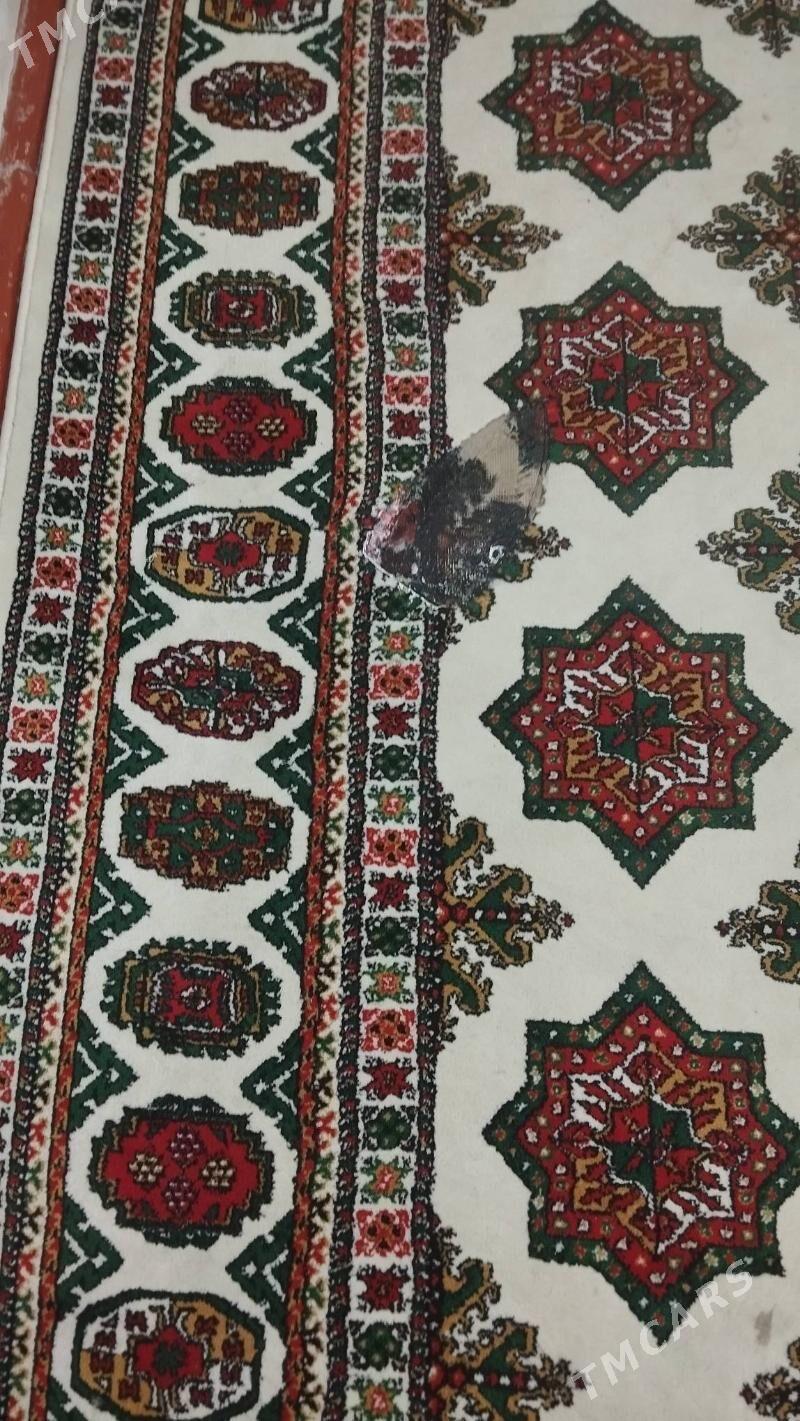 haly - Daşoguz - img 3