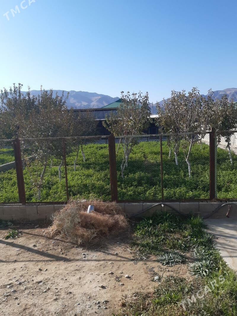 Bereketli zaman gäwers Änew - Ак-Бугдайский этрап - img 7