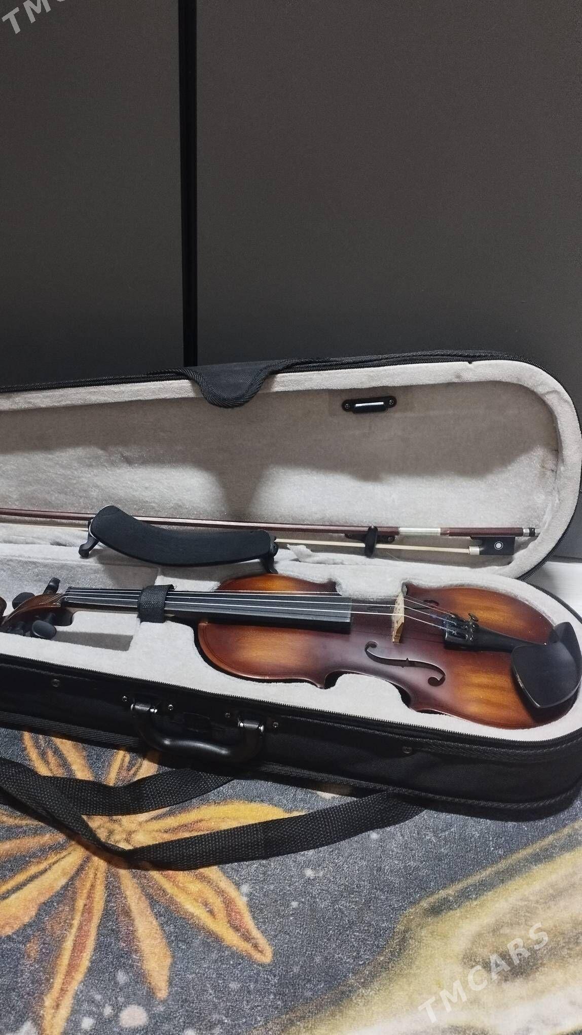 SKRIPKA 1/2 - Туркменбаши - img 2