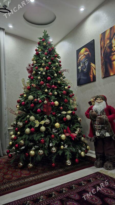 Ёлка - Ашхабад - img 5
