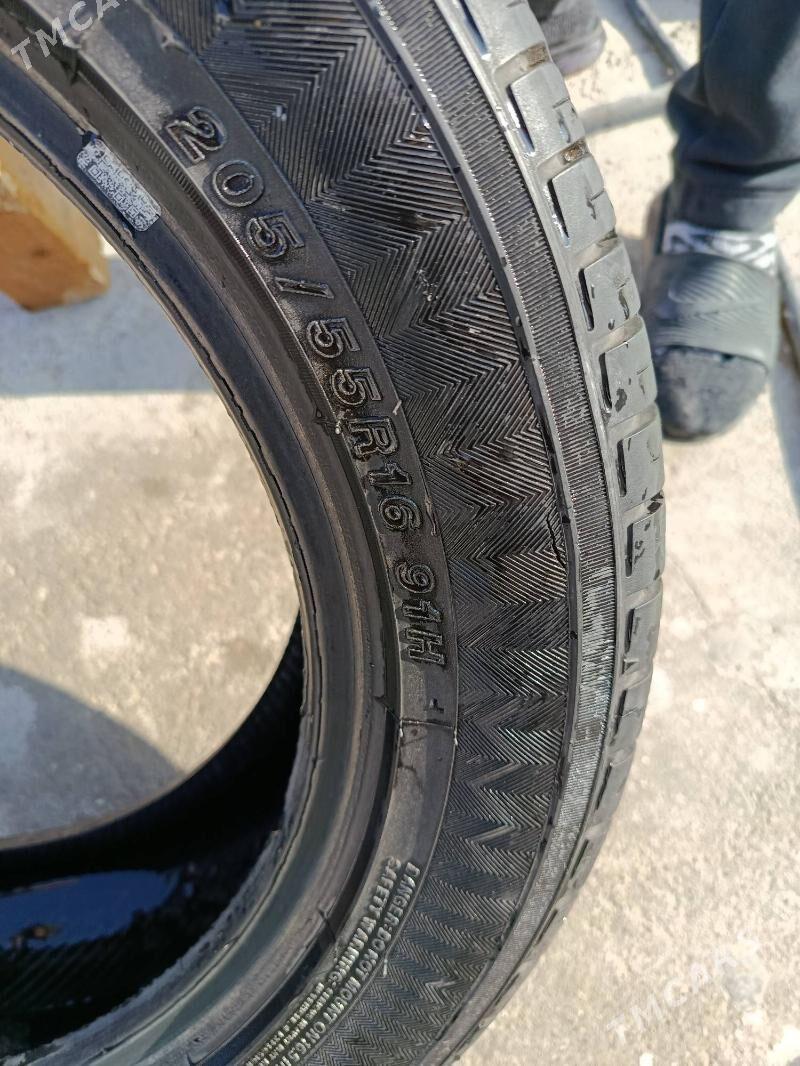 pakriska - Aşgabat - img 1